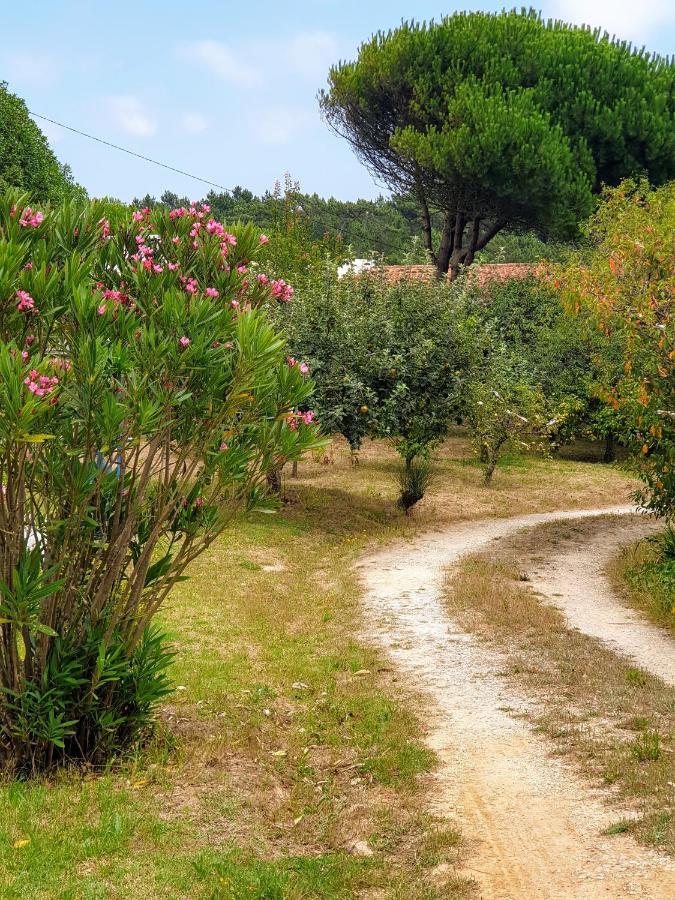 Sondela Self Catering Apartment Sao Martinho do Porto Bagian luar foto