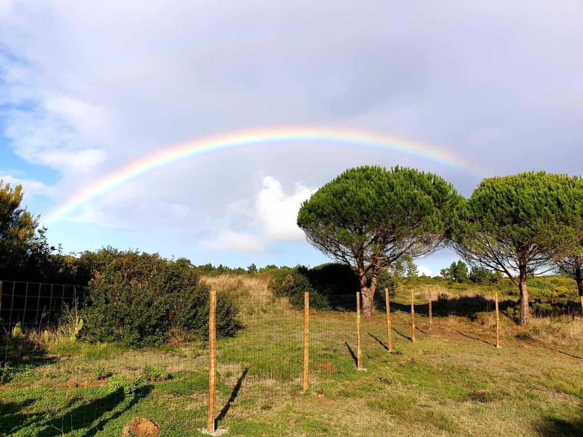 Sondela Self Catering Apartment Sao Martinho do Porto Bagian luar foto