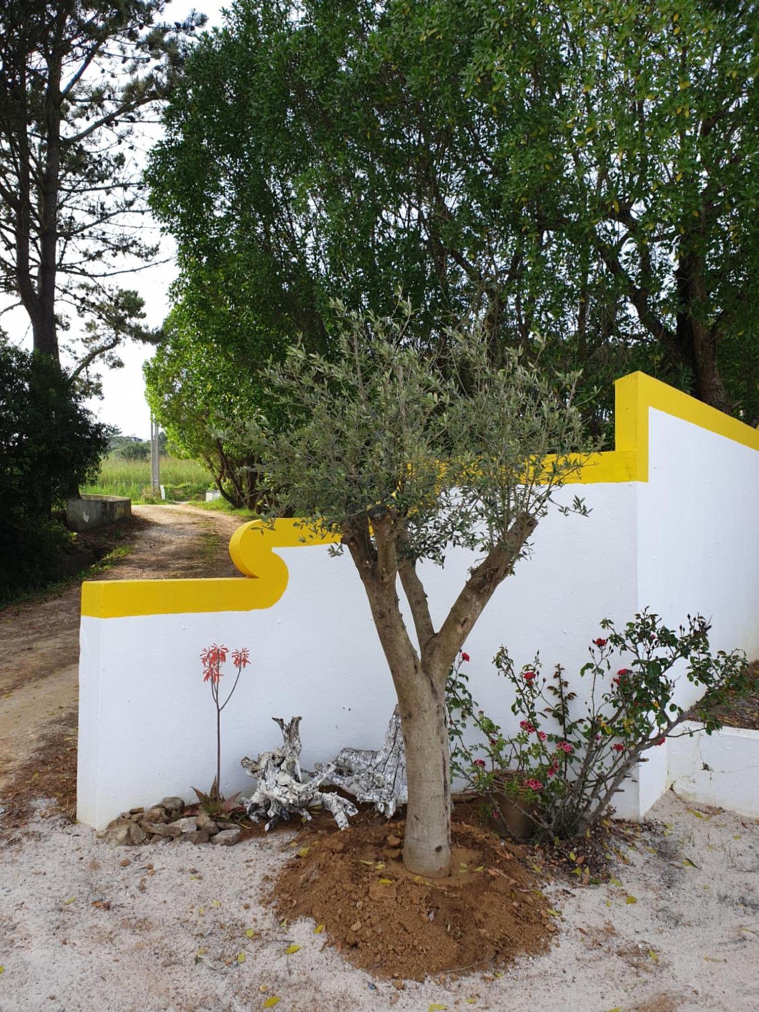 Sondela Self Catering Apartment Sao Martinho do Porto Bagian luar foto