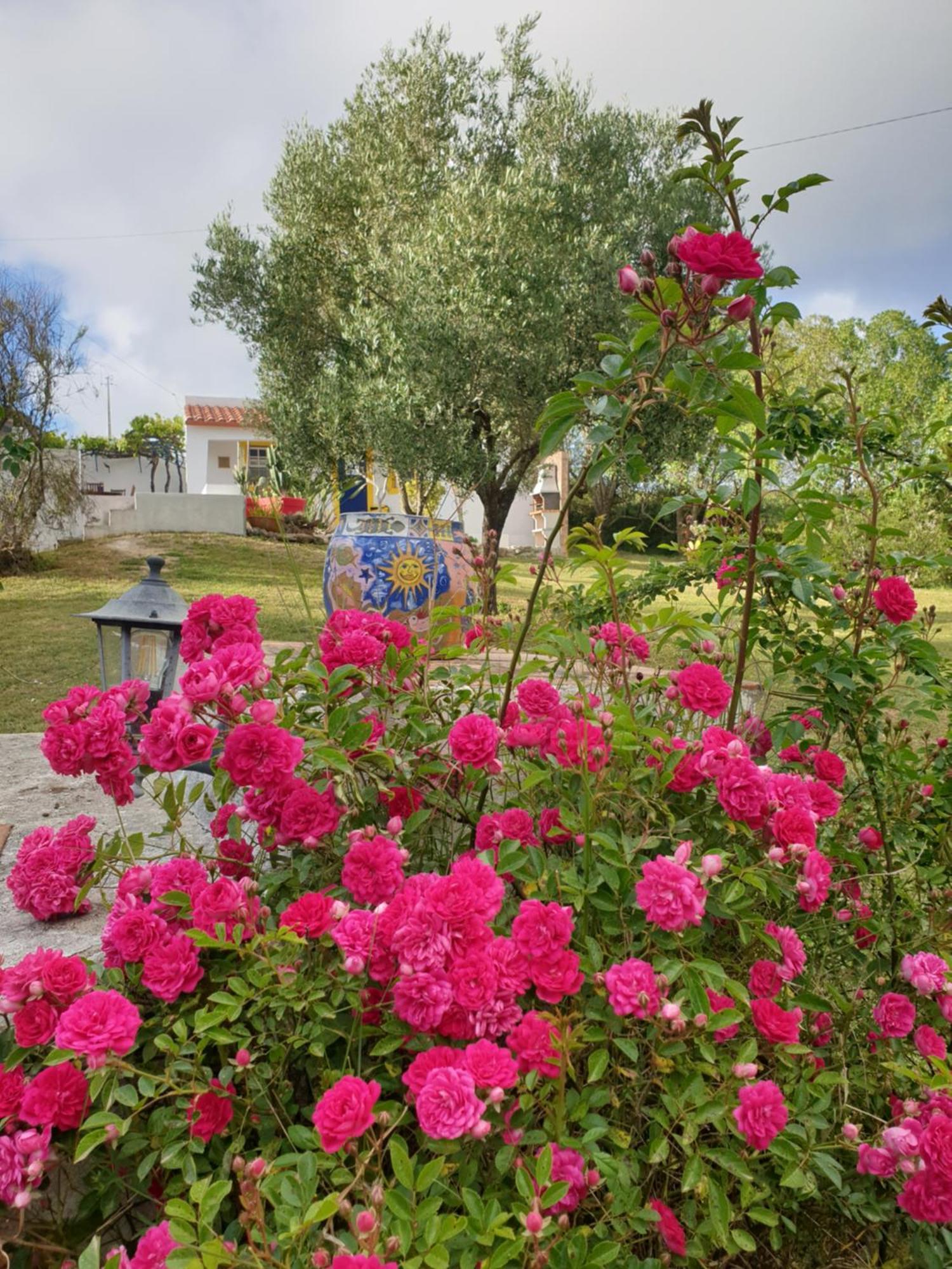 Sondela Self Catering Apartment Sao Martinho do Porto Bagian luar foto